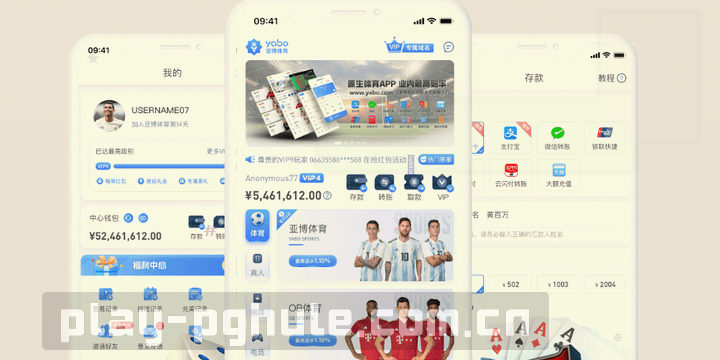 记分板显示客队领先2分，计时器还剩最后5秒。